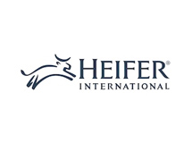 Heifer